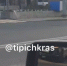 Сильнейший ветер в Краснодаре перевернул уличный туалет - LiveKuban.Ru