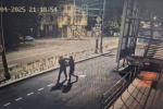 Живодеры перерезали горло собаке на Кубани