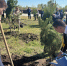 Офицеры следственного управления приняли участие в международной акции «Сад памяти» - Следственный комитет