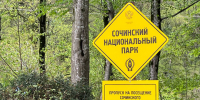 Фото: телеканал «Краснодар» - ТК Краснодар
