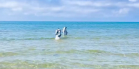 Около 19 тонн нефтесодержащей смеси собрали водолазы со дна Черного моря у берегов Анапы за сутки - Кубанские Новости