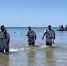 Сводную группировку водолазов по поиску и подъему мазута увеличивают - Новая Газета Кубани