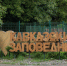 Кавказскому заповеднику исполнился 101 год со дня основания - Югополис