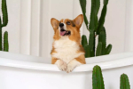 Депутат Антропенко предложил сделать выходные с 1 по 9 мая непрерывными