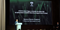 Фото предоставлено пресс-службой администрации Краснодарского края - НИА-Кубань