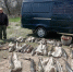 В Приморско-Ахтарском районе незаконно выловили осетра и севрюгу на 7,4 млн рублей - Комсомольская Правда