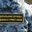 Сочинец выплатил 2,5 млн рублей алиментов после угрозы ареста земли - Газета Краснодарские известия