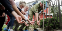 Белорусская делегация посадила «дерево памяти» в Краснодаре - Газета Краснодарские известия