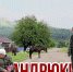 Кугоейская, Нижнебаканская и Андрюки – какие загадки хранят три кубанские станицы - Кубанские Новости