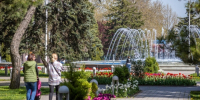 Фото предоставлено пресс-службой администрации Анапы - НИА-Кубань