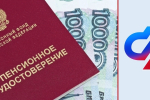 Фото предоставлено пресс-службой администрации Новороссийска