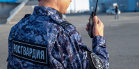 В Темрюке сотрудники Росгвардии задержали разыскиваемого мужчину из Московской области - 24Krasnodar.Ru