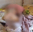 Фото: скриншот видео полиции Краснодара - ТК Краснодар