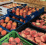 За продуктами кубанских фермеров — на ярмарки выходного дня - Администрация города Краснодар
