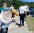 Полиция задержала аниматоров в ростовых костюмах в Геленджике - Югополис