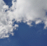 Фото: телеканал «Краснодар» - ТК Краснодар