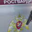 В Краснодаре нашли пропавшего 17-летнего подростка - Комсомольская Правда