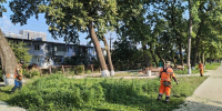 Фото: пресс-служба администрации Краснодара - ТК Краснодар