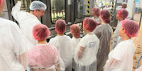 Почти 20 тысяч подростков трудоустроились летом на Кубани - Газета Краснодарские известия