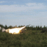 Минобороны сообщило о сбитых за сутки 217 БПЛА и ракете «Нептун» - Югополис