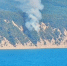 Лесной пожар вспыхнул у подножия горы Храпак в Архипо-Осиповке - Газета Краснодарские известия
