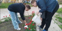 На Кубани более 20 тысяч подростков приняли участие в программах временной занятости - Газета Кубань Сегодня