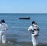 Со дна Черного моря спасатели за день достали 266 мешков с мазутом - Югополис