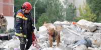 Пропавшие после взрыва газа в Саратове жители оказались живы и вышли на связь - Кубанские Новости