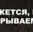 Краснодарский приют увяз в долгах и не справляется с потоком животных - Газета Краснодарские известия