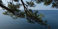 Какая температура Черного и Азовского морей на курортах Краснодарского края - Кубанские Новости