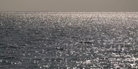 Российская ПВО ликвидировала ночью над акваторией Черного моря 60 беспилотников ВСУ - Кубанские Новости
