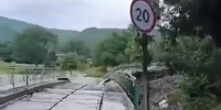 Фото: соцсети - ТК Краснодар