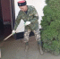 Казаки ликвидируют последствия ливней в селах под Туапсе - Газета Краснодарские известия