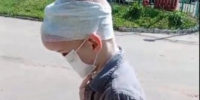 В Краснодаре хозяйка спасала шпица из пасти агрессивной собаки - KrasnodarMedia