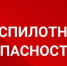 Фото: телеграм-канал Сергея Леся - НИА-Кубань
