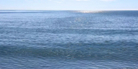 ПВО уничтожила БПЛА над акваторией Черного моря - Кубанские Новости