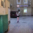 Фото: t.me/mashmoyka - ТК Краснодар