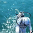 Водолазы подняли 253 мешка с мазутом с морского дна в Анапе 12 августа - Комсомольская Правда