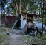 Фото: t.me/sledcom47 - ТК Краснодар