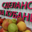В Краснодарском крае завершили прием заявок на конкурс «Сделано на Кубани» - Департамент информационной политики