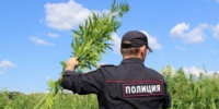 На Кубани изъяли 80 тонн поддельного алкоголя за неделю - KrasnodarMedia