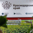 Фото предоставлено пресс-службой администрации Краснодарского края - НИА-Кубань