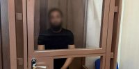 В Краснодаре предлагавший непристойности 13-летней девочке арестован - Кубанские Новости