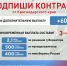 3 млн рублей получат заключившие контракт от Краснодарского края с 25 августа до 30 сентября 2025 года - Министерство экономики