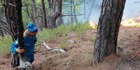 На Кубани тушат одновременно три лестных пожара - Новая Газета Кубани