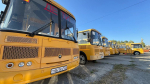Фото: пресс-служба администрации Краснодара