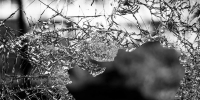 15 частных домов и 47 квартир повреждены в поселке Яблоновском под Краснодаром из-за ночной атаки БПЛА - Кубанские Новости