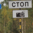 Фото предоставлено пресс-службой администрации Анапы - НИА-Кубань