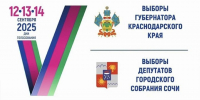 243 избирательных участка открылись в Сочи - Комсомольская Правда
