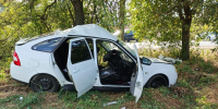 На Кубани погиб 20-летний юноша, врезавшись на автомобиле в дерево - Югополис